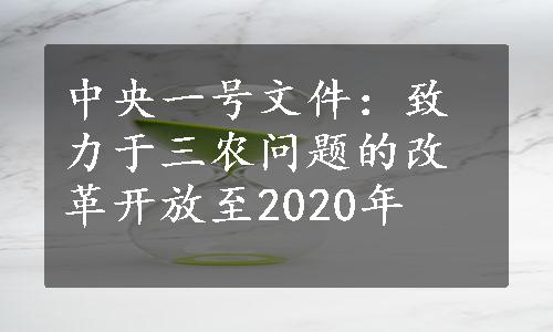 中央一号文件：致力于三农问题的改革开放至2020年