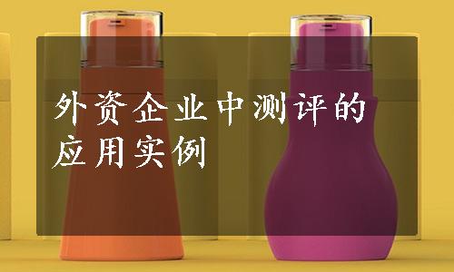 外资企业中测评的应用实例