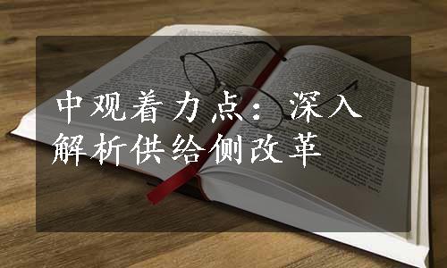 中观着力点：深入解析供给侧改革