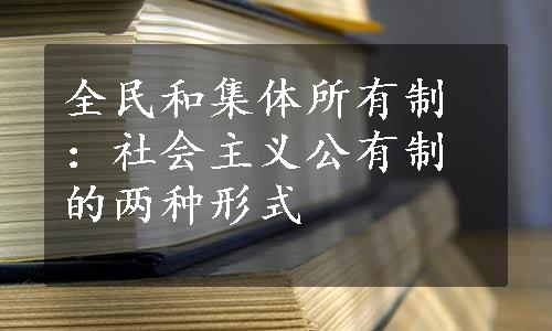 全民和集体所有制：社会主义公有制的两种形式