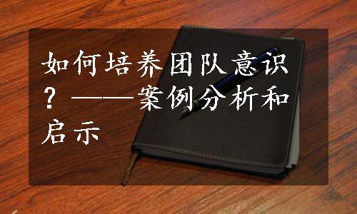 如何培养团队意识？——案例分析和启示