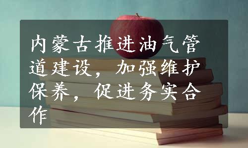 内蒙古推进油气管道建设，加强维护保养，促进务实合作