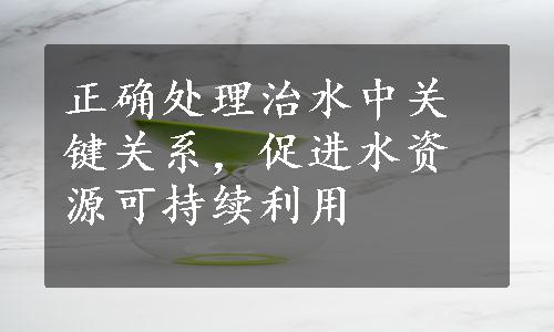 正确处理治水中关键关系，促进水资源可持续利用