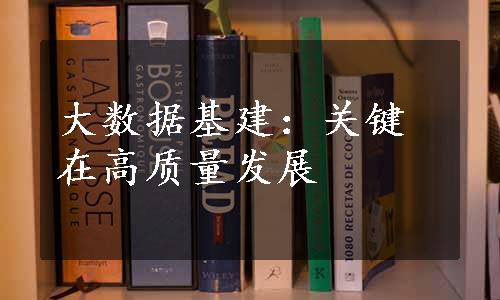 大数据基建：关键在高质量发展