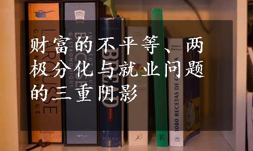 财富的不平等、两极分化与就业问题的三重阴影