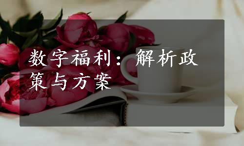 数字福利：解析政策与方案