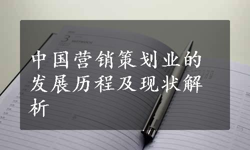 中国营销策划业的发展历程及现状解析