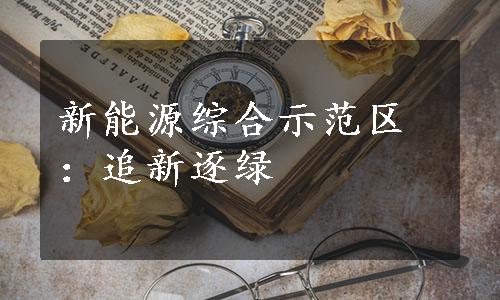 新能源综合示范区：追新逐绿