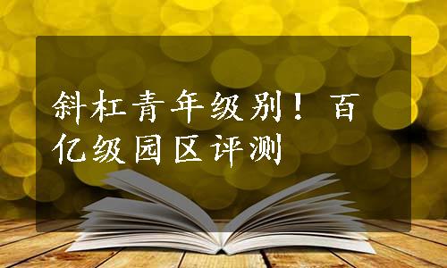 斜杠青年级别！百亿级园区评测