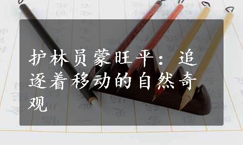 护林员蒙旺平：追逐着移动的自然奇观