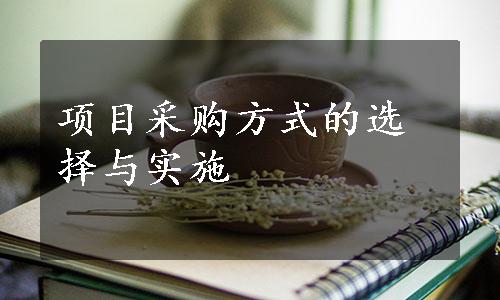 项目采购方式的选择与实施