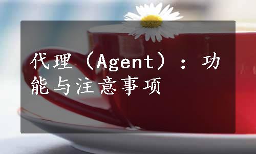 代理（Agent）：功能与注意事项