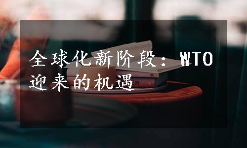 全球化新阶段：WTO迎来的机遇