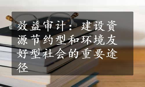 效益审计：建设资源节约型和环境友好型社会的重要途径