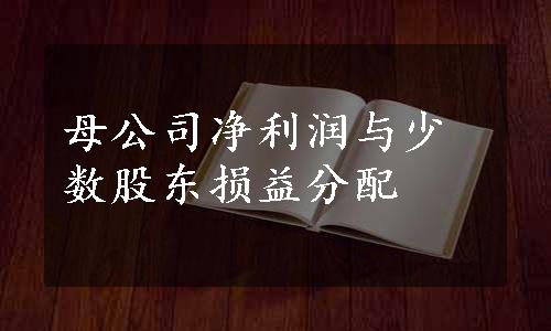 母公司净利润与少数股东损益分配