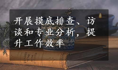 开展摸底排查、访谈和专业分析，提升工作效率