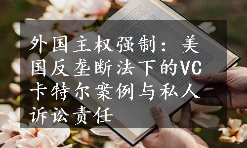 外国主权强制：美国反垄断法下的VC卡特尔案例与私人诉讼责任