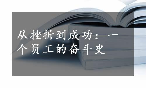 从挫折到成功：一个员工的奋斗史