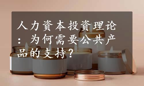 人力资本投资理论：为何需要公共产品的支持？