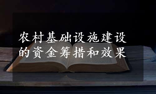 农村基础设施建设的资金筹措和效果