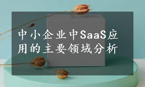 中小企业中SaaS应用的主要领域分析