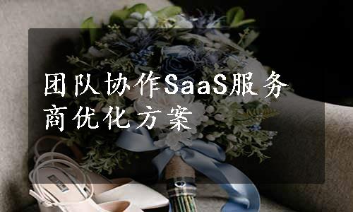 团队协作SaaS服务商优化方案