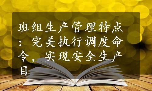 班组生产管理特点：完美执行调度命令，实现安全生产目