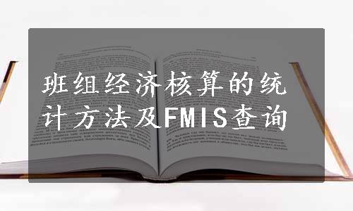 班组经济核算的统计方法及FMIS查询