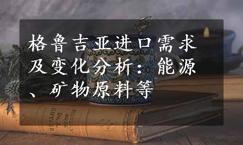 格鲁吉亚进口需求及变化分析：能源、矿物原料等