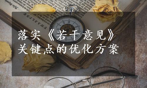 落实《若干意见》关键点的优化方案