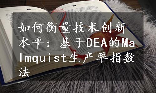 如何衡量技术创新水平：基于DEA的Malmquist生产率指数法