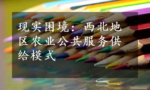 现实困境：西北地区农业公共服务供给模式