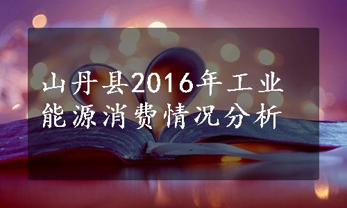 山丹县2016年工业能源消费情况分析