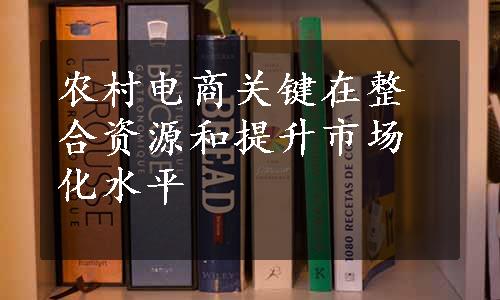 农村电商关键在整合资源和提升市场化水平