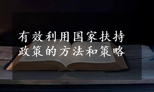 有效利用国家扶持政策的方法和策略