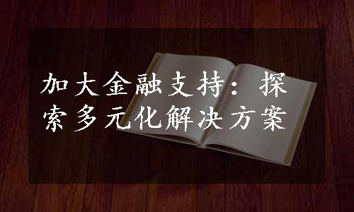 加大金融支持：探索多元化解决方案