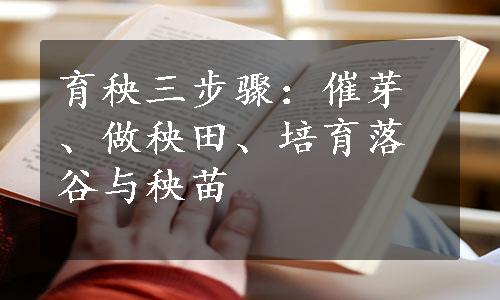 育秧三步骤：催芽、做秧田、培育落谷与秧苗