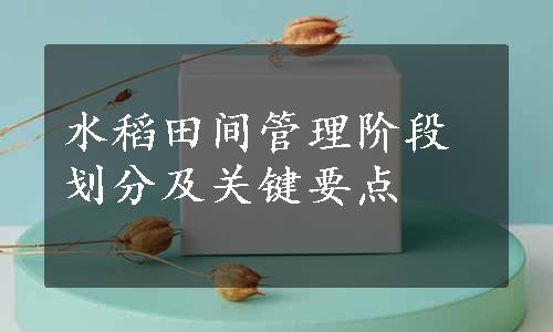 水稻田间管理阶段划分及关键要点