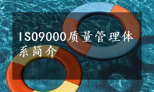 ISO9000质量管理体系简介