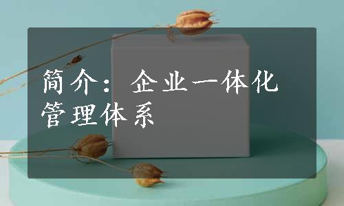 简介：企业一体化管理体系