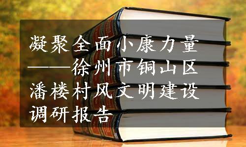 凝聚全面小康力量——徐州市铜山区潘楼村风文明建设调研报告