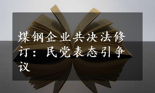 煤钢企业共决法修订：民党表态引争议