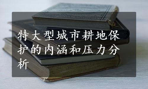 特大型城市耕地保护的内涵和压力分析