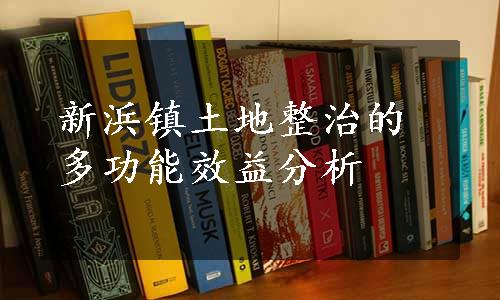 新浜镇土地整治的多功能效益分析