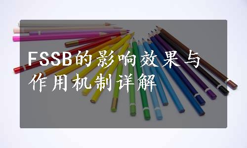 FSSB的影响效果与作用机制详解