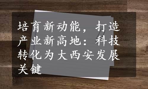 培育新动能，打造产业新高地：科技转化为大西安发展关键