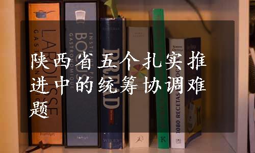 陕西省五个扎实推进中的统筹协调难题