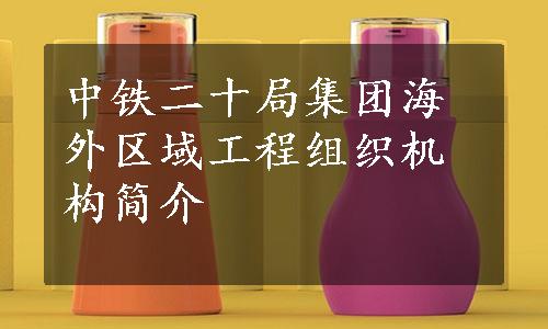 中铁二十局集团海外区域工程组织机构简介