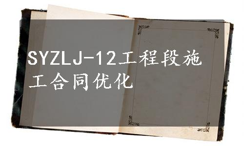 SYZLJ-12工程段施工合同优化