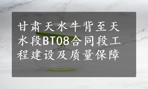 甘肃天水牛背至天水段BT08合同段工程建设及质量保障